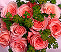 roseblup3_s.jpg