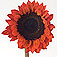 sunflowersunbrightredtinted.jpg